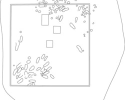 A linha exterior assinala o contorno máximo do penedo, à superfície do terreno, com as medidas máximas de ~530cm de comprimento e ~460cm de largura; o quadrado maior indica a localização do gradeamento em ferro com 270cm de lado; os 2 pequenos quadrados e 1 retângulo assinalam a inserção de elementos religiosos sobrepostos ao penedo; os desenhos irregulares são as insculturas supostamente pré-históricas. Merecia um estudo aprofundado. Por iniciativa de Amaro C. Silva foi enviada proposta de classificação à Direção-Geral do Património Cultural que, por comunicação de 04-02-2013, referiu ter arquivado o processo, mas ter enviado cópia à Câmara Municipal de Terras de Bouro para apreciação. Não se conhece qualquer procedimento que tenha sido desenvolvido pela Câmara. Seja como for, é um penedo classificado pela devoção religiosa da população de Covide.